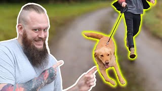 How To Stop Your Dog PULLING On The Leash [upl. by Ahsenac]