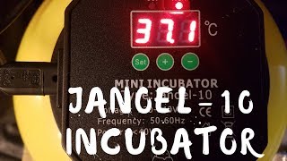 Janoel 10 Mini Incubator Review and Overview [upl. by Lucho267]