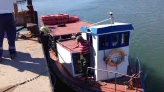 Ferry to Tavira Island and Tavira Beach [upl. by Anitsyrk138]