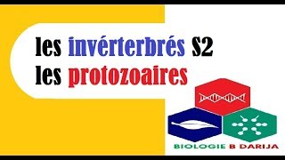 biologie animale S2 introduction  البيولوجيا بالدارجة [upl. by Marcella]