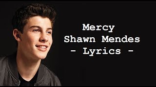 Shawn Mendes  Mercy LYRICS [upl. by Nodyl]