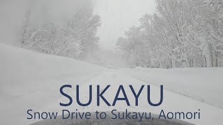 4K SUKAYU The Snowiest Place in Japan  Drive from Central Aomori City to Sukayu  青森市街→酸ヶ湯 [upl. by Hightower]