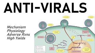 Antiviral Pharmacology [upl. by Nomed]