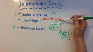 Intermolecular Forces [upl. by Karlow]