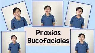 Praxias Bucofaciales  Lenguaje oral [upl. by Annaid]