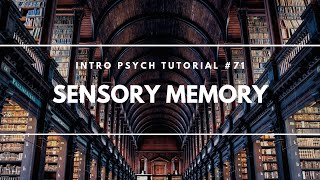 Sensory Memory Intro Psych Tutorial 71 [upl. by Eikcir]