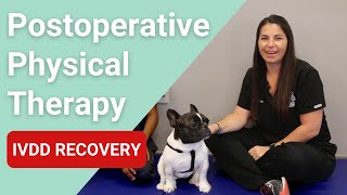 Postoperative Physical Therapy for dogs  IVDD Recovery [upl. by Gentry]