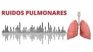 AUSCULTACIÓN PULMONAR ruidos normales y anormales [upl. by Nazario]