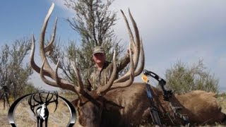 443quot and 403quot MONSTER Archery Elk Hunts Free Range  MossBack [upl. by Couture]