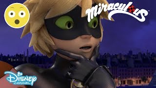 Miraculous Ladybug  Cat Noir Sees Marinette’s Transformation 😱  Disney Channel UK [upl. by Saalocin]