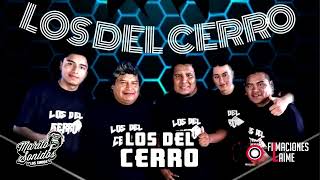 Enganchado éxitos de LOS DEL CERRO 2019 [upl. by Vanden19]