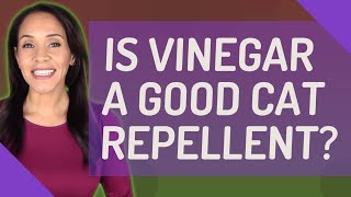 Is Vinegar a good cat repellent [upl. by Noscire]