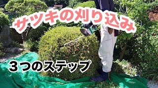 【電動バリカン】サツキの綺麗な刈り込み剪定を３ステップで解説します！【マキタMUH3652】 [upl. by Ecydnac252]