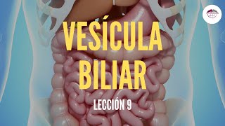 9 LA VESÍCULA BILIAR ESTRUCTURA Y FUNCIÓN DEL SISTEMA DIGESTIVO [upl. by Lleon]