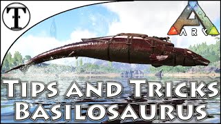 Fast Basilosaurus Taming Guide  Ark  Survival Evolved Tips and Tricks [upl. by Assyla475]