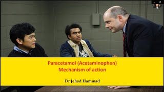 Paracetamol Acetaminophen Mechanism of Action [upl. by Pollock525]