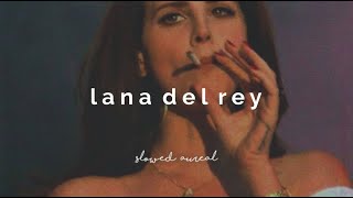 the best of lana del rey a playlist slowed  reverb [upl. by Korff396]