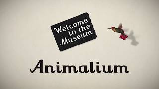 Welcome To The Museum  Animalium [upl. by Adnahsat]