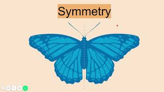 Symmetry Lesson [upl. by Yatnoed]