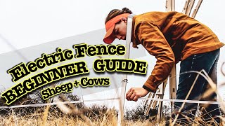 HOW TO INSTALL ELECTRIC FENCE FOR SHEEP AND COWS [upl. by Lipps]