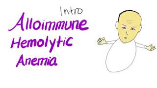 Alloimmune Hemolytic Anemia [upl. by Aisyla]