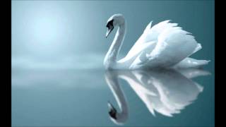 Sibelius The Swan of Tuonela [upl. by Angelle69]