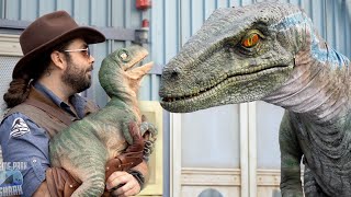 Jurassic World Raptor Experience Universal Studios [upl. by Solracesoj61]