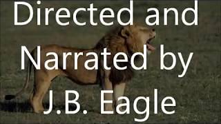 quotJB Eagle Reviewsquot Episode 38 The Lion King Review [upl. by Enyallij]