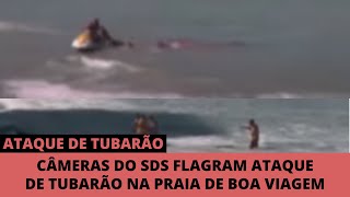 Ataque Real De Tubarão Na Praia De Boa Viagem Recife [upl. by Najib154]