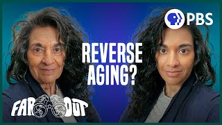 How to Stop And Even Reverse Aging [upl. by Ellivnarg995]