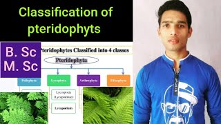 Classification of pteridophyts [upl. by Suilenroc]