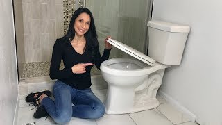 How to Install a Toilet Step by Step Instructions [upl. by Shig]