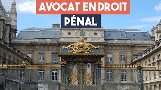 Avocats  la spécialité droit pénal [upl. by Ydaf]