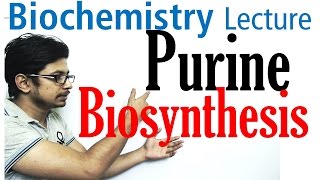 Purine biosynthesis [upl. by Lefty]