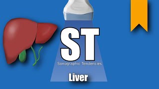 Liver Ultrasound Protocol [upl. by Nosilla]