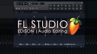 EDISON  Audio Editing Introduction [upl. by Enilekcaj519]