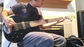 Super Low Drop F bass tuning on Lakland 5 string bass [upl. by Eendys]