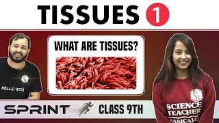 Tissues 01  What are Tissues  Class 9  NCERT  Sprint [upl. by Charline]