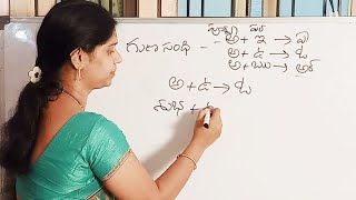 గుణ సంధి  Guna sandhi  Telugu Grammar [upl. by Pelagia]