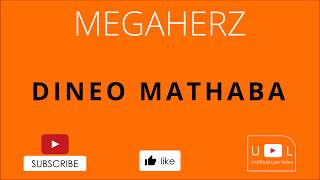 MegaHertzNtate Stunna  Dineo MathabaLyrics Video [upl. by Shetrit]