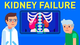 What is Kidney Failure [upl. by Tonjes19]