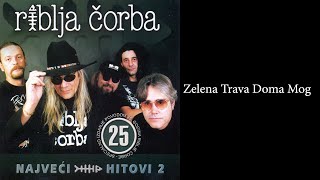 Riblja Čorba  Zelena trava doma mog Audio 2004 [upl. by Neirbo]