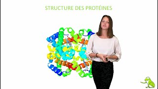 Structure des protéines [upl. by Petunia997]