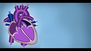 Fetal Circulation by L McCabe  OPENPediatrics [upl. by Adnauqahs]