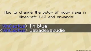 How to change the color of your name in Minecraft UPDATED 117 [upl. by Stets557]