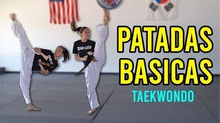 4 PATADAS BASICAS DE TAEKWONDO [upl. by Nevar474]