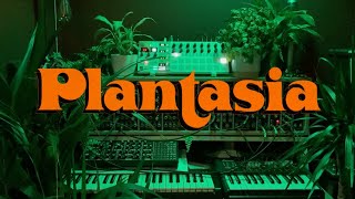 Plantasia  Mort Garson Cover [upl. by Giselbert]