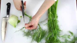 How To Prepare Fennel [upl. by Ailimat]