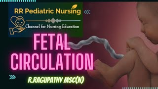 Fetal Circulation [upl. by Akiehsat438]