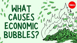 What causes economic bubbles  Prateek Singh [upl. by Redep]